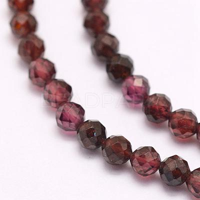 Natural Garnet Beads Strands G-F509-37-2mm-1
