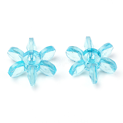 Transparent Acrylic Beads MACR-S296-31-1