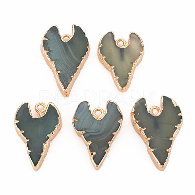 Natural Agate Pendants G-N326-122-1