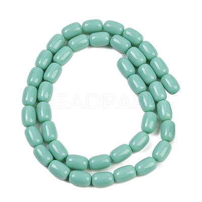 Opaque Glass Beads Strands GLAA-Z015-02B-1