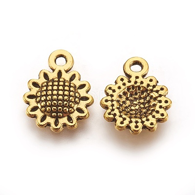 Tibetan Style Alloy Charms X1-GLF10257Y-NF-1