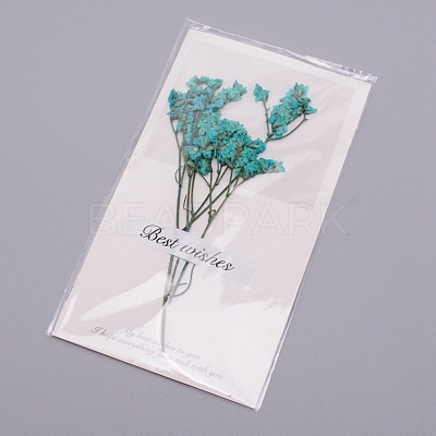 Paper Cards DIY-WH0183-41J-1