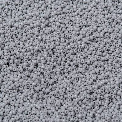 MIYUKI Round Rocailles Beads X-SEED-G009-RR0498-1