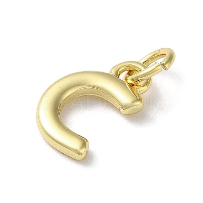 Rack Plating Brass Charms KK-P245-06G-C-1