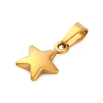 304 Stainless Steel Charms STAS-I127-067G-1