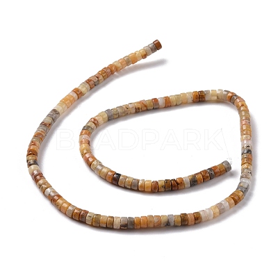 Natural Crazy Lace Agate Beads Strands G-P468-09-1