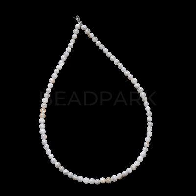 Natural Freshwater Shell Beads Strands SH-CBA2978-07D-02-1