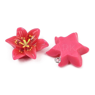 Opaque Resin Pendants CRES-D328-04F-1