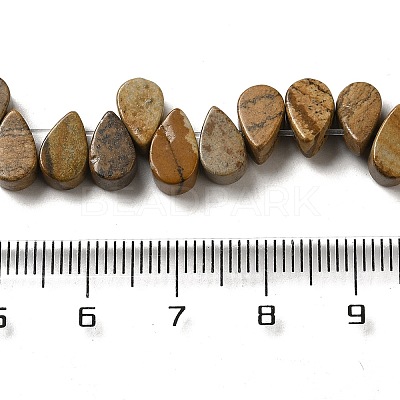 Natural Picture Jasper Beads Strands G-B064-B02-1