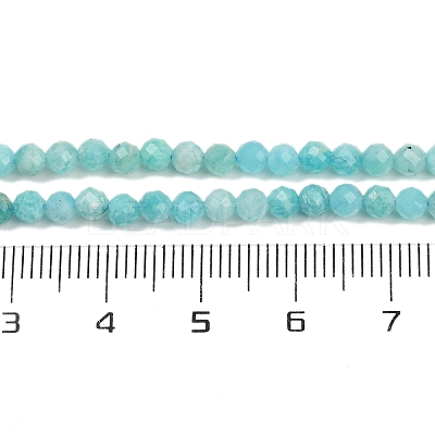 Natural Amazonite Beads Strands G-P572-B04-A-1