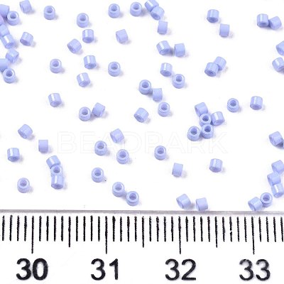 FGB 11/0 Grade A Glass Seed Beads SEED-S030-1023-1