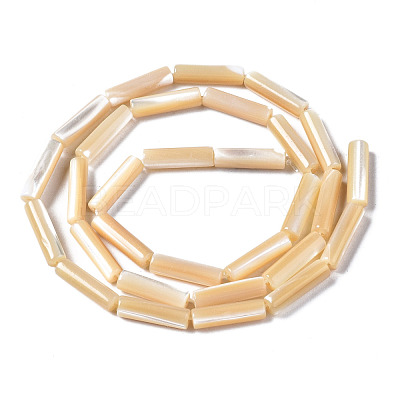 Natural Trochid Shell/Trochus Shell Beads Strands SSHEL-S266-020B-03-1