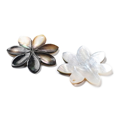Natural Freshwater Shell Pendants SHEL-D082-08B-1
