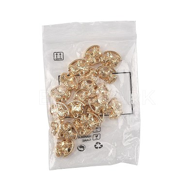 Alloy Pendants FIND-FZC0006-003LG-1