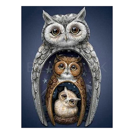 Owl Pattern DIY Diamond Painting Kit PW-WG91453-05-1