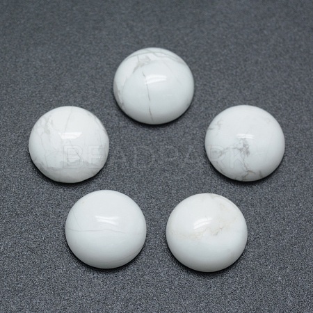 Natural Howlite Cabochons X-G-P393-R32-8MM-1