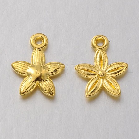 Tibetan Style Alloy Pendants K093E011-1