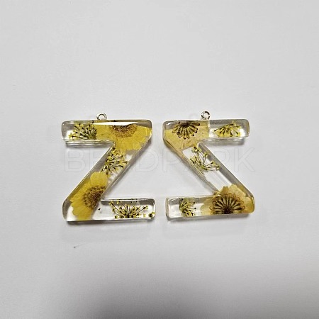 Transparent Epoxy Resin Pendants CRES-YW0002-12Z-1