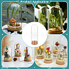 Glass Dome Cover DJEW-WH0099-04A-5
