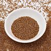 MIYUKI Delica Beads SEED-X0054-DB1734-2