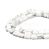 Natural Howlite Beads Strands G-K337-05-3