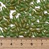 Transparent Colours Glass Seed Beads SEED-F006-03A-04-4
