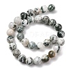 Natural Tree Agate Beads Strands G-T150-A09-12mm-4
