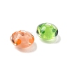Transparent Handmade Lampwork Beads LA-CBABC67-04-2