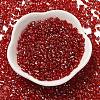 Spray Painted Glass Seed Beads SEED-F005-06A-05-2