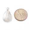 Natural Trochid Shell/Trochus Shell Pendants X-PALLOY-JF01393-3