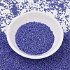 MIYUKI Delica Beads SEED-X0054-DB1578-2