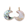 Natural Abalone Shell/Paua Shell Pendants SSHEL-L019-08G-2