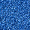 11/0 FGB Grade A Round Glass Seed Beads SEED-N001-D-216-2