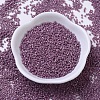 MIYUKI Delica Beads Small X-SEED-J020-DBS0265-2