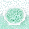 600Pcs Glass Seed Beads SEED-PA0001-17C-4