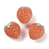 Handmade Lampwork Beads Strand LAMP-I027-10D-2