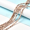 Natural Fossil Beads Strands G-I339-05-2