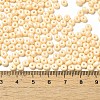 Baking Paint Glass Seed Beads X1-SEED-B001-02A-09-4