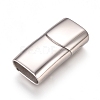 304 Stainless Steel Magnetic Clasps with Glue-in Ends STAS-L213-02P-1
