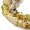 Dyed & Heated Natural Fire Crackle Agate Beads Strands G-P539-C01-01-4