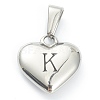 304 Stainless Steel Pendants LS-STAS-P278-01K-P-1