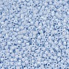 MIYUKI Delica Beads X-SEED-J020-DB1507-3