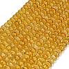 Dyed Imitation Gemstone Glass Beads Strands GL-Z001-03B-01-1