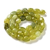 Natural Lemon Jade Beads Strands X-G-P497-01D-04-3