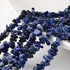 Nuggets Dyed Natural Lapis Lazuli Bead Strands G-M344-21-1