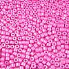 Baking Paint Pearlized Glass Seed Beads SEED-T008-03K-3