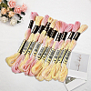 10 Skeins 6-Ply Polyester Embroidery Floss OCOR-CY0002-99G-7