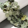 Natural Prehnite Beads Strands G-P534-A01-01-2