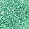 Transparent Glass Round Seed Beads X1-SEED-B001-05A-11-3