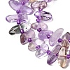 Natural Ametrine Beads Strands G-L649-A09-01-4